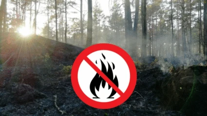 Fotografi med eldning förbjuden-skylt