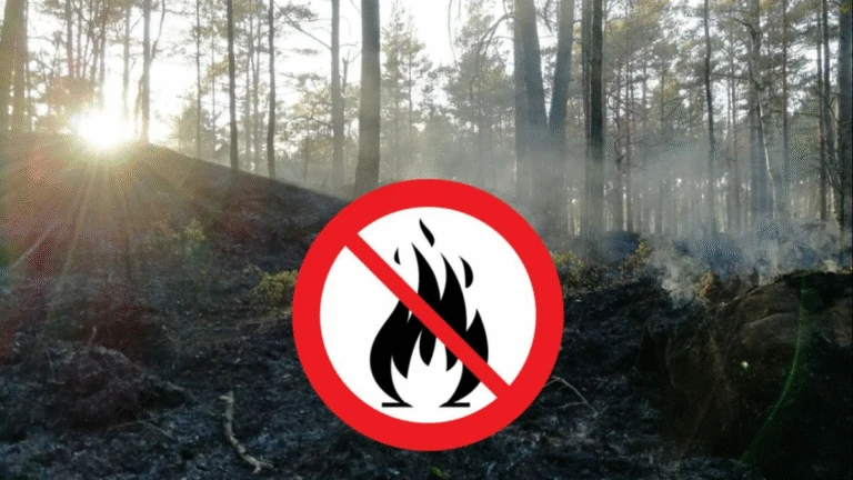 Fotografi med eldning förbjuden-skylt