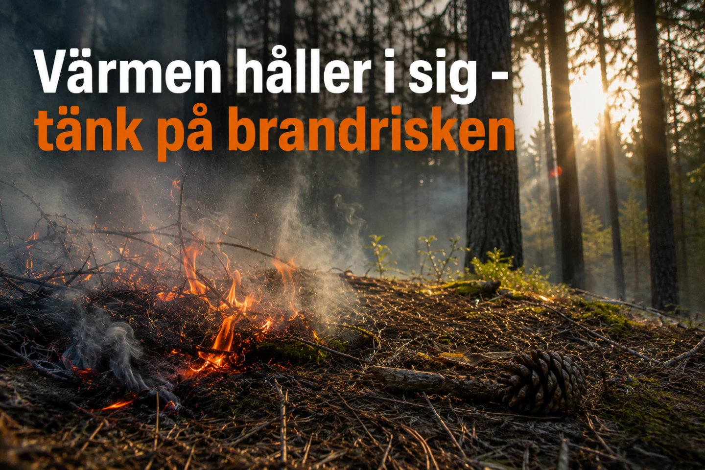 Utvecklad brand i skog